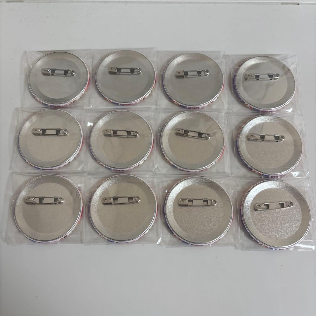 あんスタ　白鳥藍良　フィーチャー　缶バッジ　12個