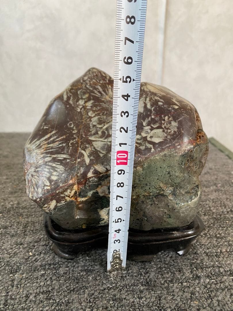 菊花石　置物　石