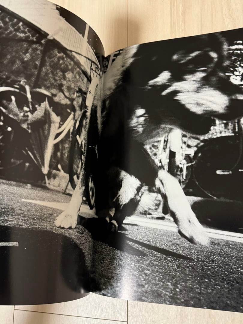 【新品！直筆サイン署名！初版】森山大道　記録11号 中平卓馬　細江英公