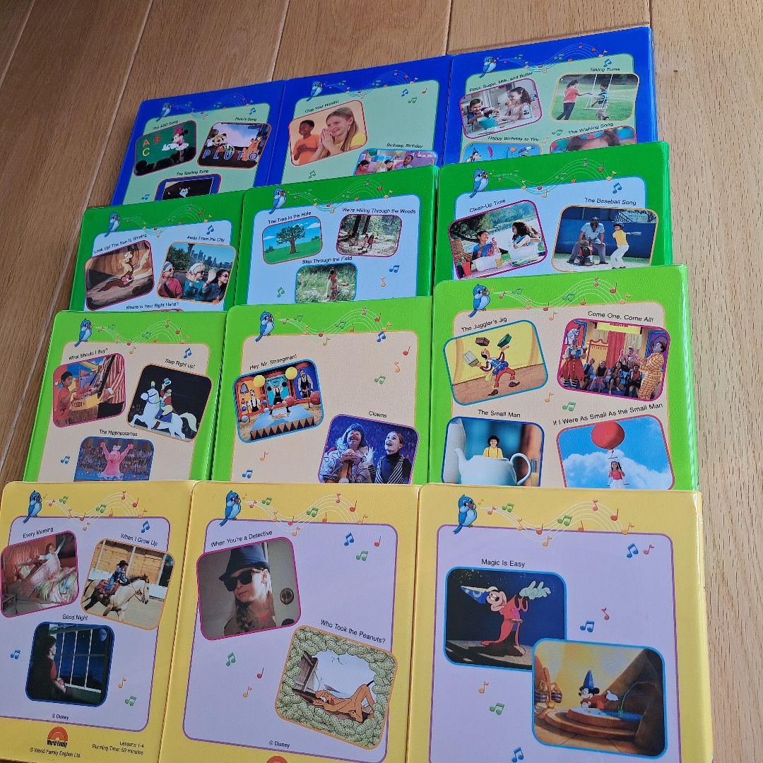 DWEストレートプレイの１１枚セット