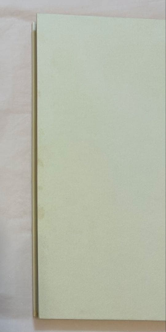 ハミルトン・ピクチャーズ David Hamilton 初版 帯、フライヤー付