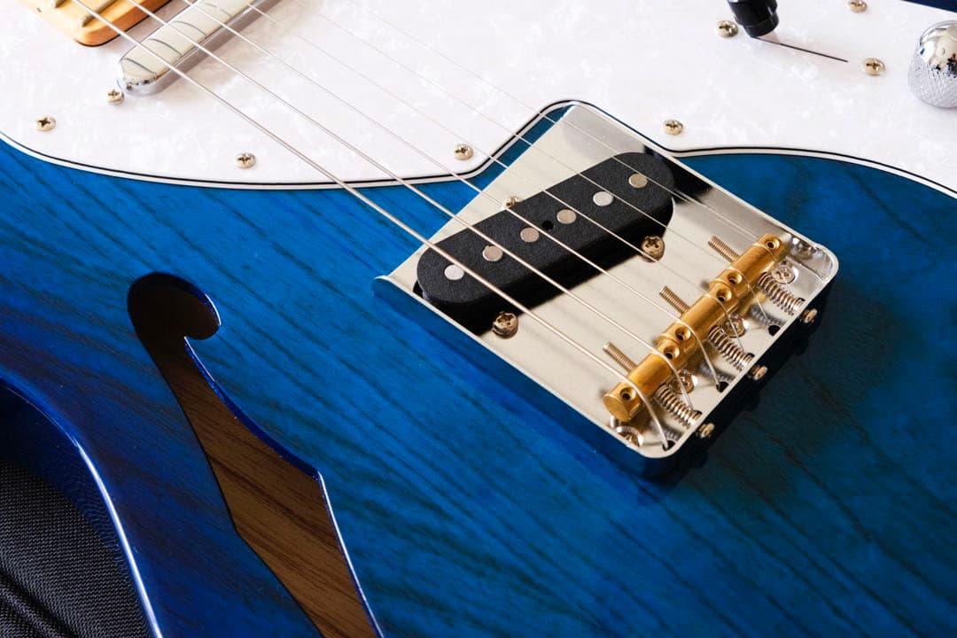 ギター FGN FUJIGEN NTE10MAH SBB Neo Classic