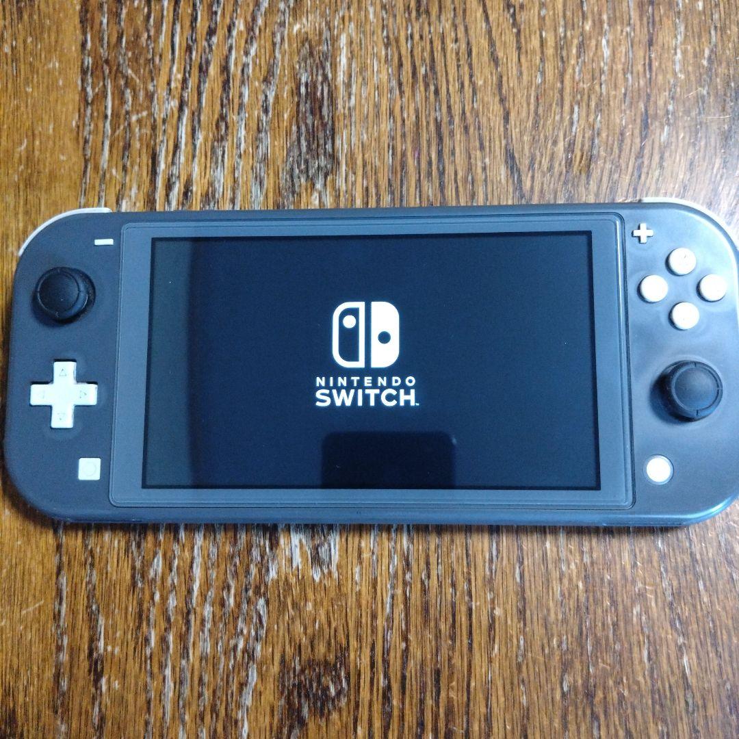 Nintendo Switch Lite グレー　動作確認済