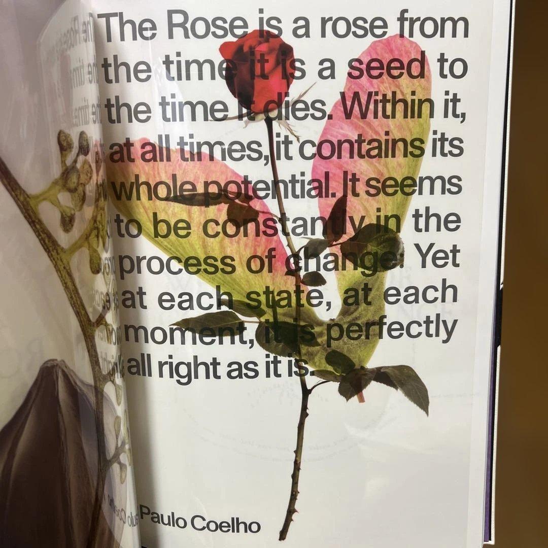 タンバリンズ アートブックTAMBURINS 2024 EVENING GLOW