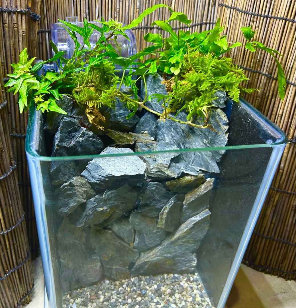 水の流れる滝テラリウム水槽