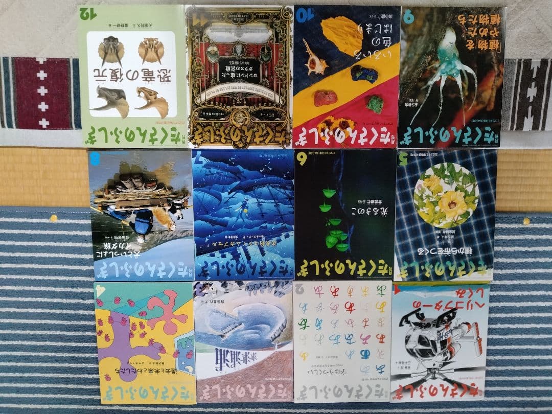 たくさんのふしぎ 2023年版12冊セット