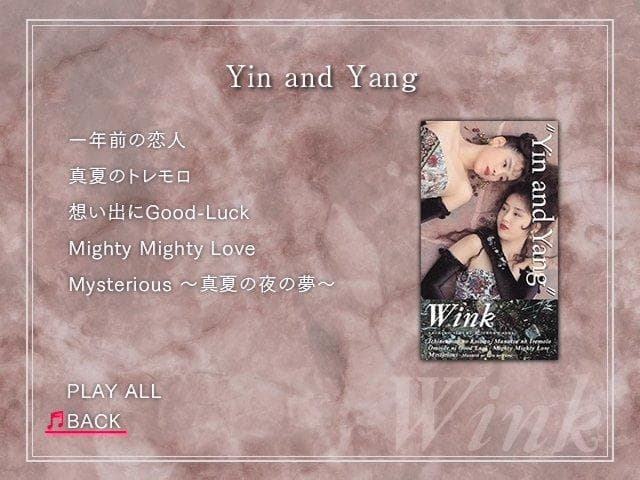 Wink Performance&Visual Memories 2作品セット