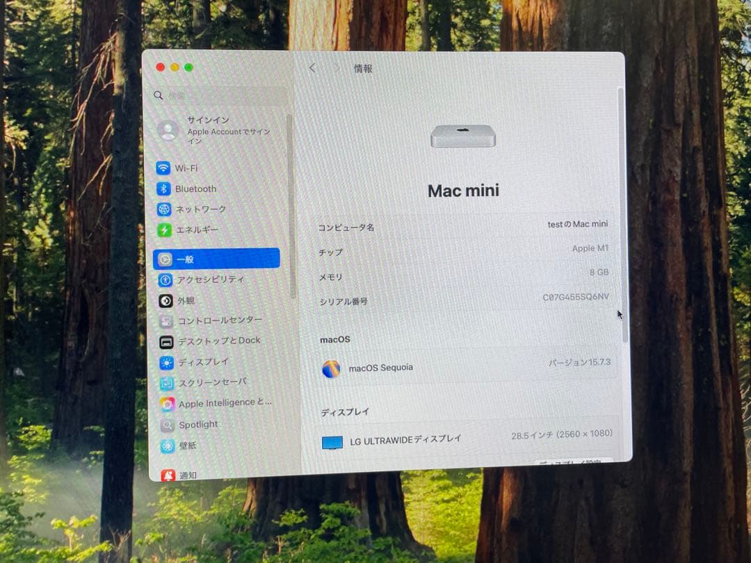Apple Mac mini シルバー 本体　m1 8GB 256GB