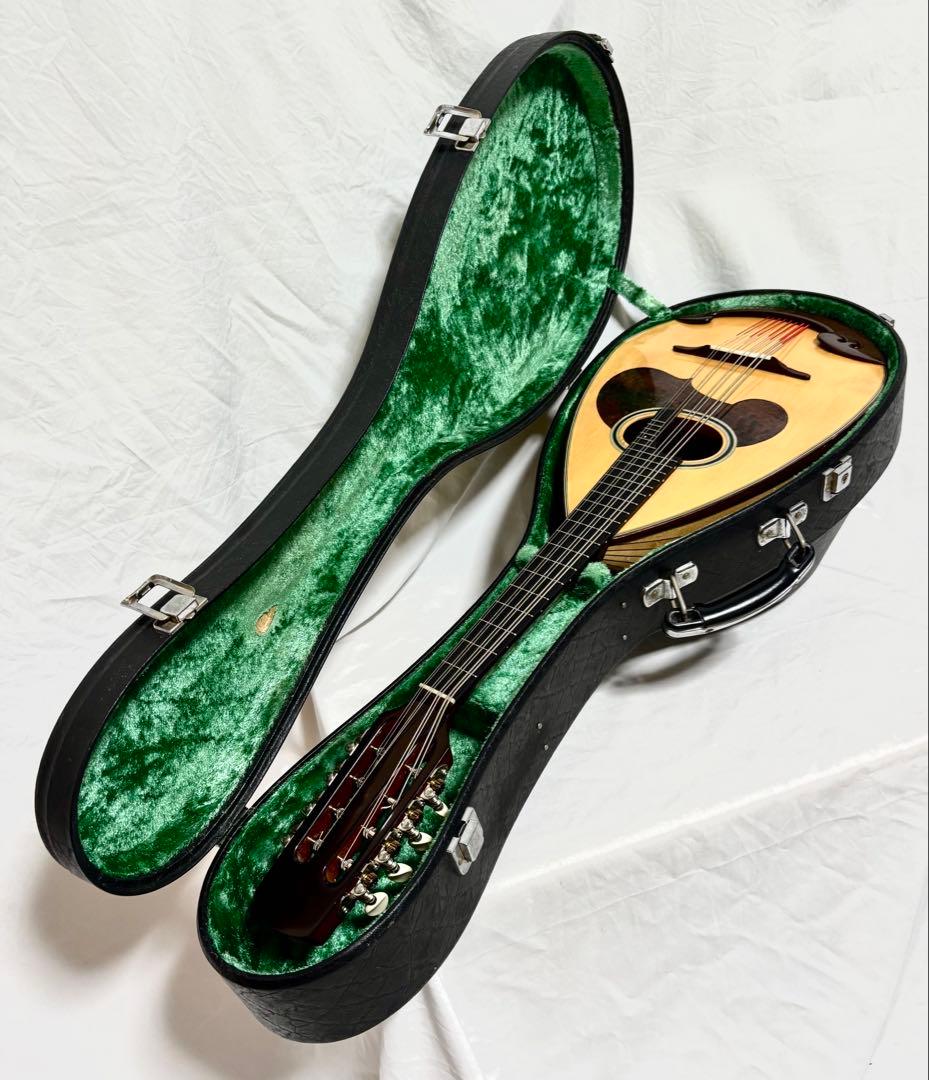 【新品弦張替済】SUZUKI マンドラ MD-4 8弦 オーバルボディ