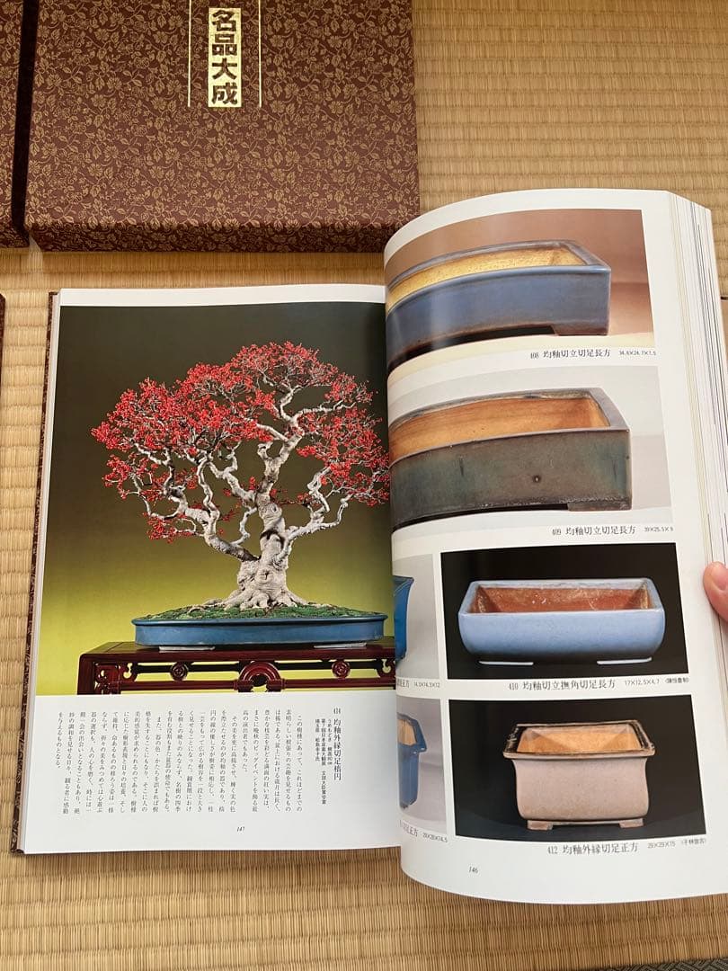【美品・函付】美術盆器名品大成 中国編／日本編 全2冊｜大型本・盆栽資料