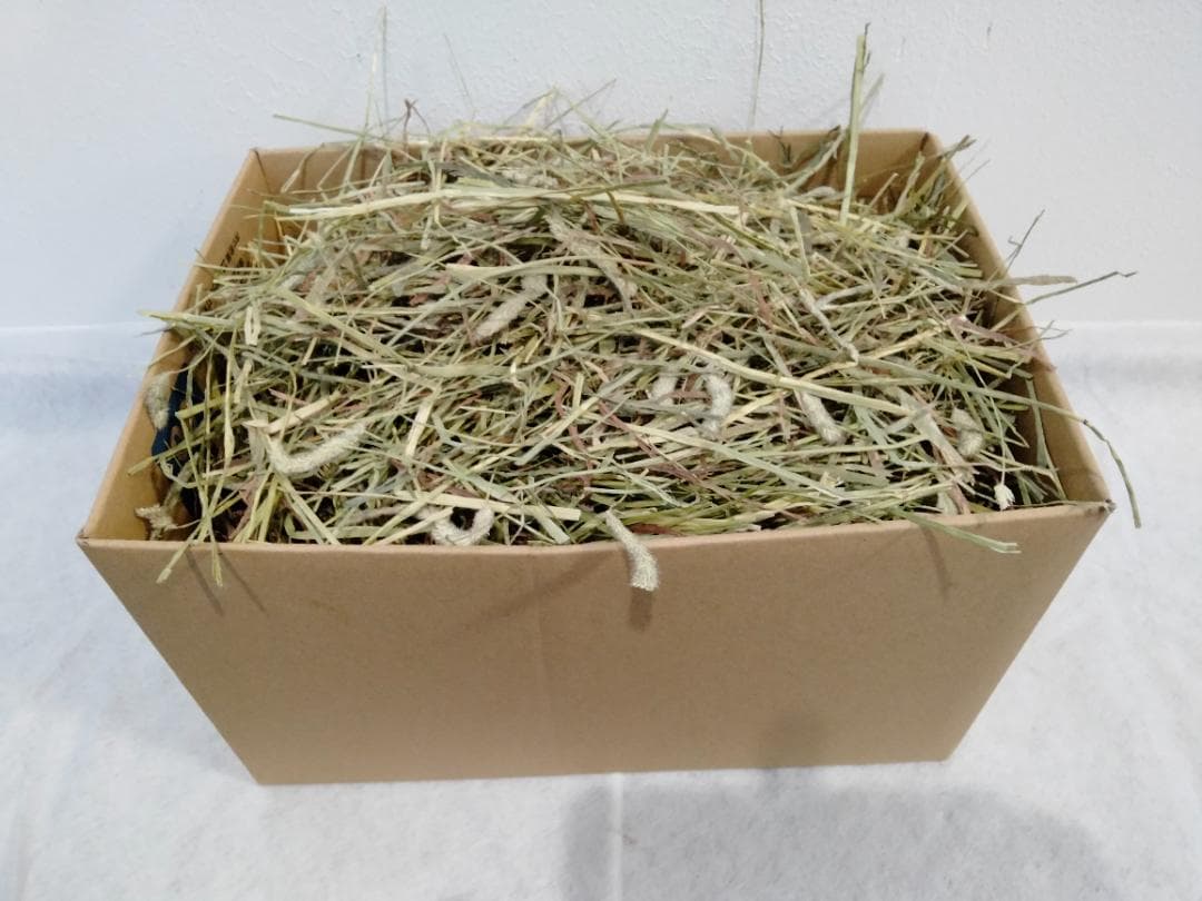 【11/30まで】 カナダ産 チモシー 50kg スーパープレミアム １番刈り