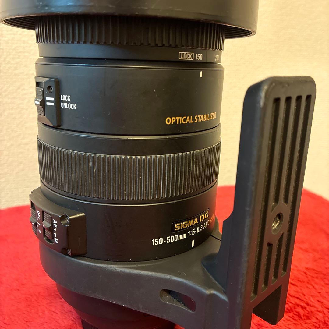 SIGMA 150-500mm F5-6.3 APO DG OS ニコン