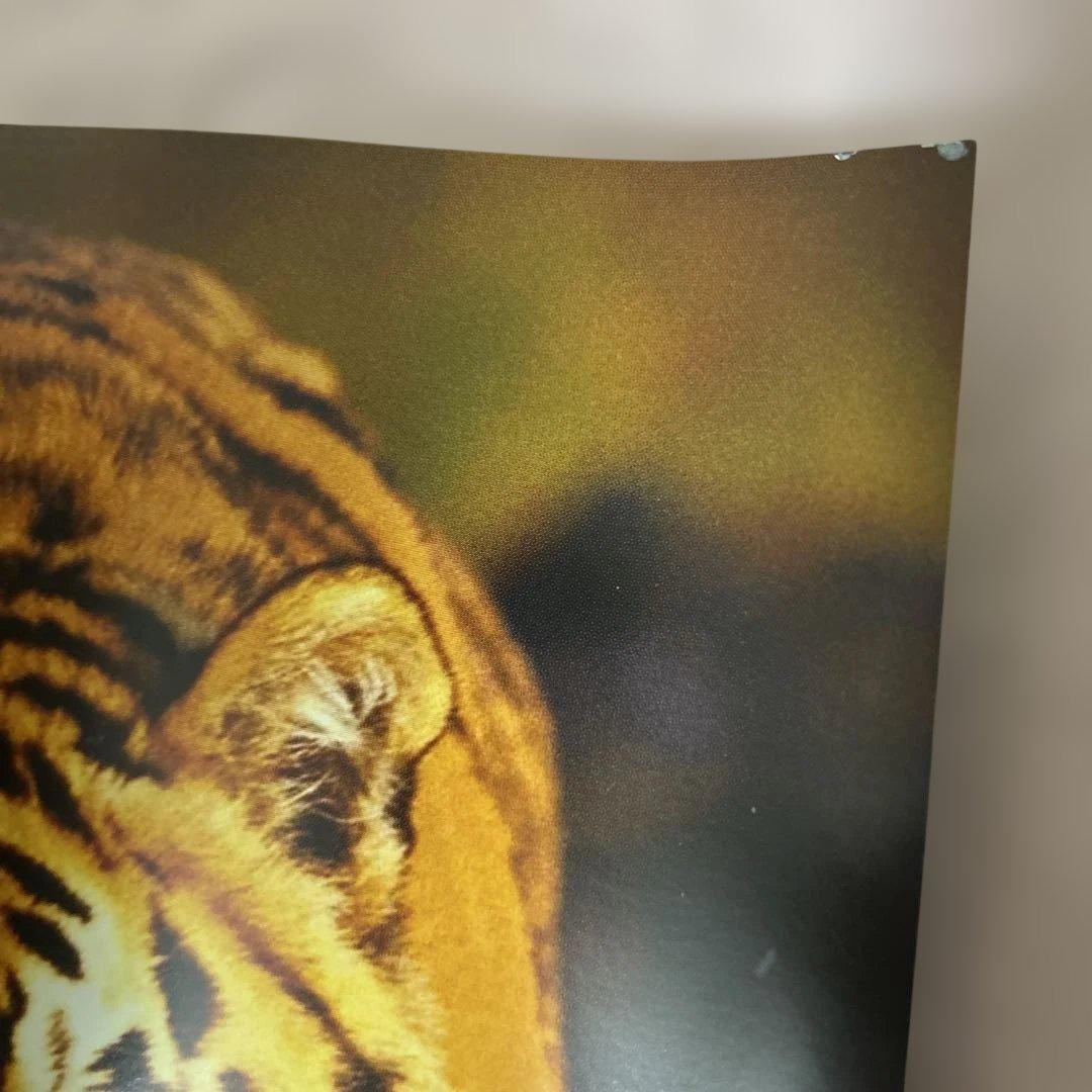 貴重⭐️マイケルジャクソンスリラー25 周年本Thriller The Book