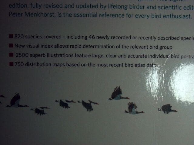 オーストラリア野鳥識別ガイドの海外書籍(英語)カラーのイラスト2500点