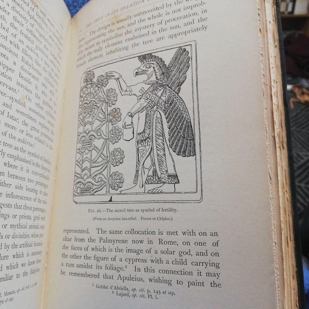 洋書 The Sacred Tree by Mrs. J. H. Philpot