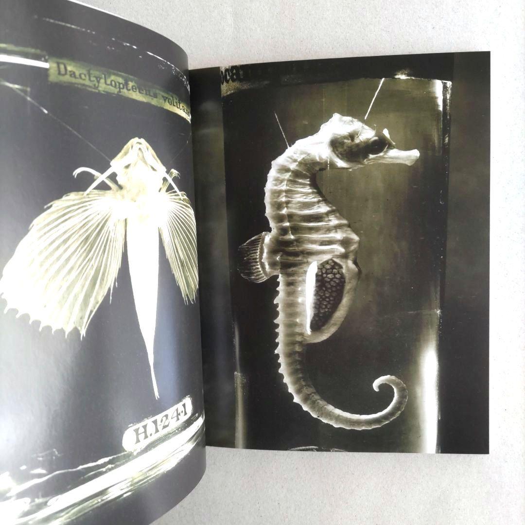 【希少】TANK MAGAZINE #4/写真・アート・ファション・イラスト