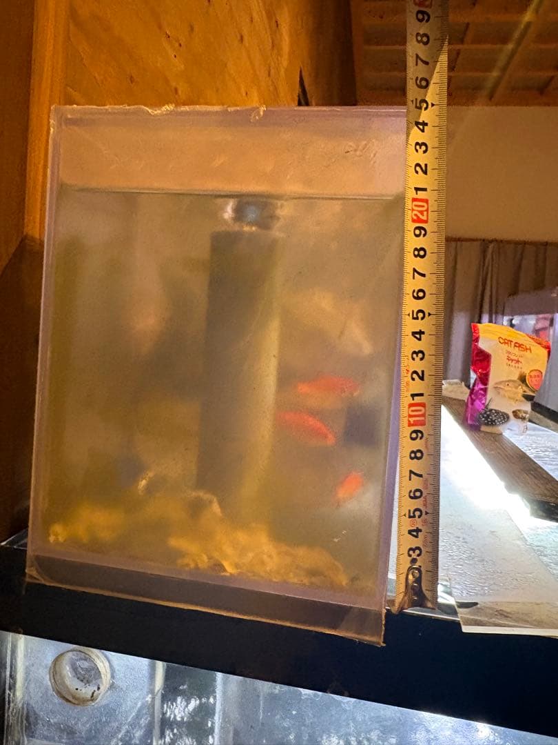 150×60×60 アクリル水槽 ぷぅ工房濾過装置付きフルセット