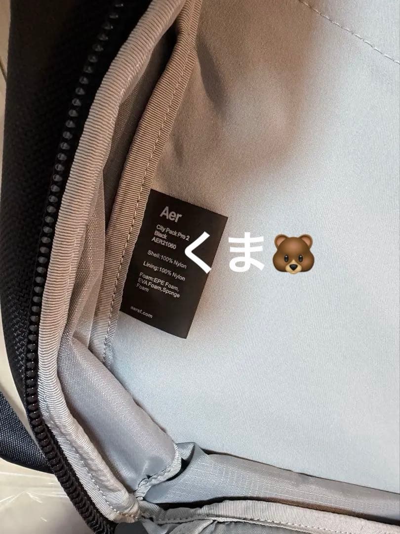 Aer City Pack Pro 2 リュック　ブラック　エアー