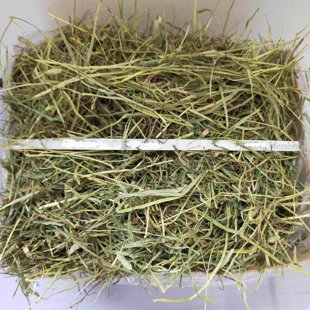 【3/16まで】US産 チモシー 100kg ２番刈り ソフトSプレミアム