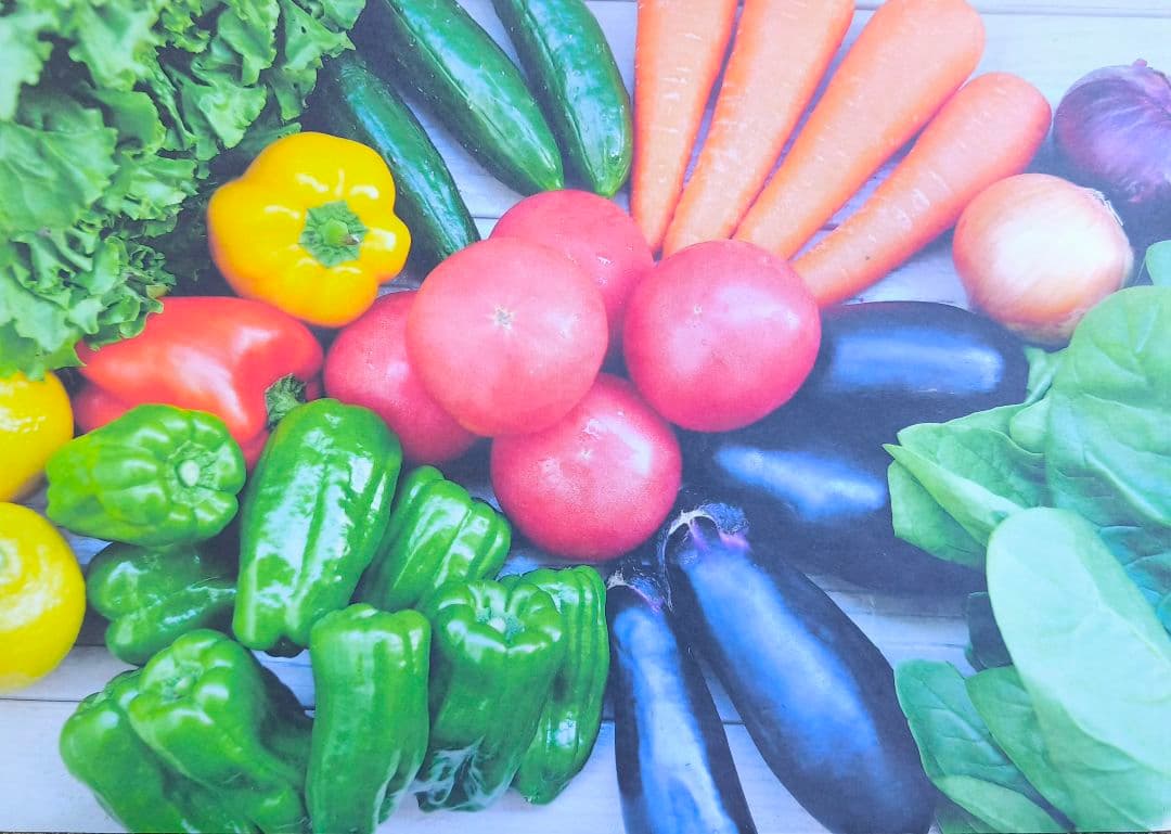 【動作良好】EPSON カラープリンター Colorio EP-50V