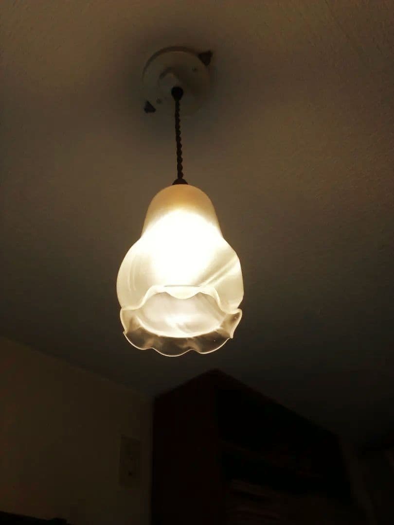 フランスのガラスシェード アンティーク