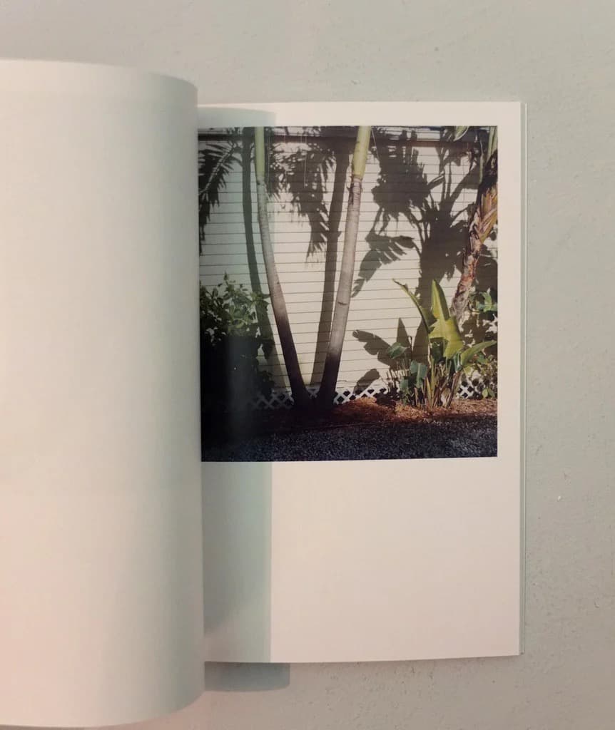 The Mushroom Collector ジェイソン・フルフォード 写真集