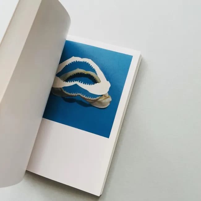 The Mushroom Collector ジェイソン・フルフォード 写真集