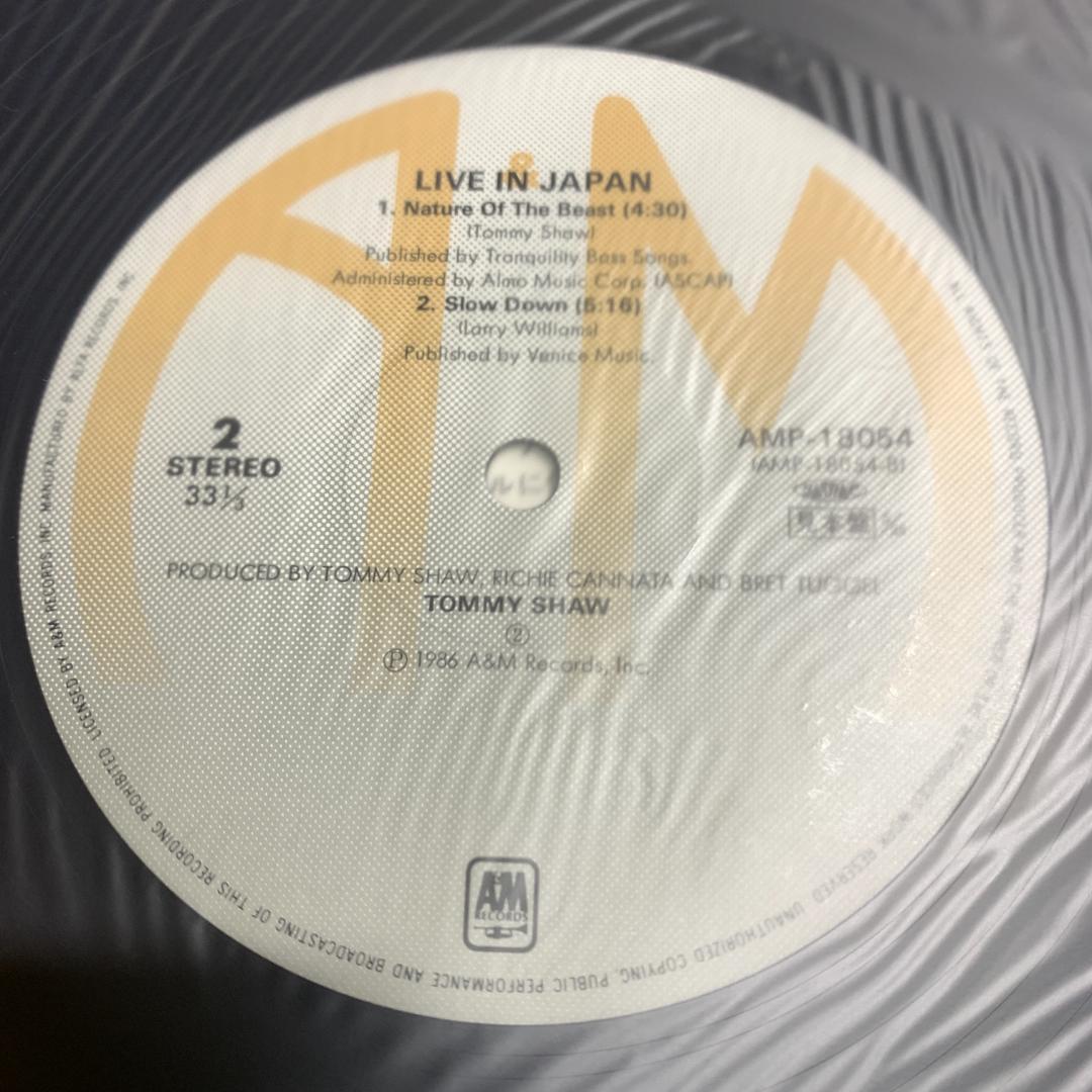 見本版　サンプル版  Shaw トミー・ショウ　ライヴ・イン・ジャパン