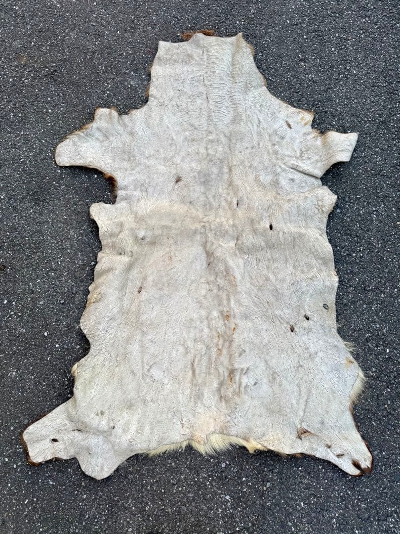 日本鹿 ラグマット 毛皮 敷物 ブランケット 蝦夷鹿 ブッシュクラフト キャンプ