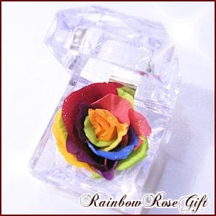 【高級プリザーブドフラワー】レインボーローズ ジュエリー