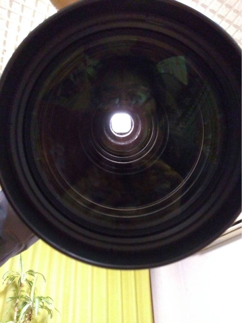 Canon EF 600mm 1：4 ULTRA SONIC 望遠レンズ