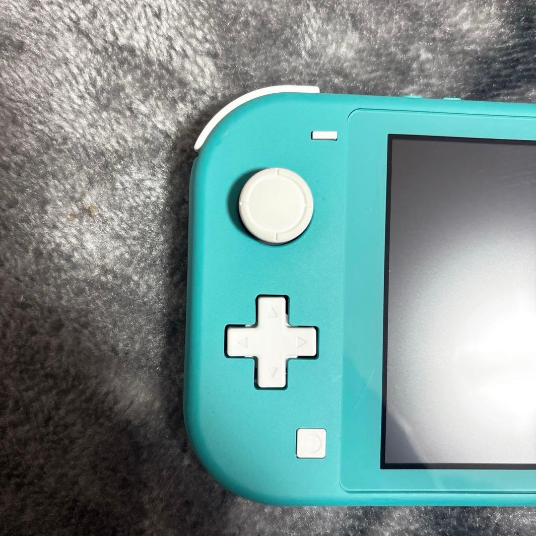 Switchライト箱充電器付き ケース付き