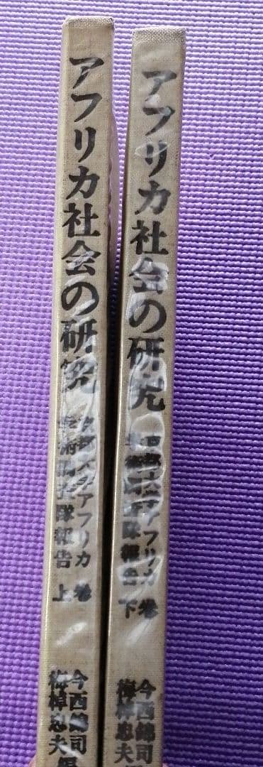 アフリカ社会の研究　上下巻　京都大学アフリカ学術調査隊報告　今西錦司　梅棹忠夫