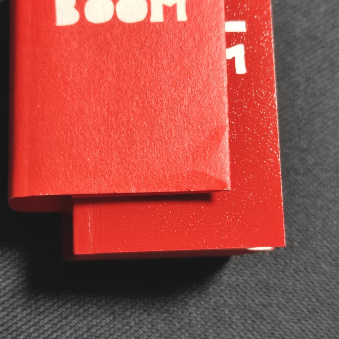 Irma Boom Biography in Books　2010年 ミニチュア