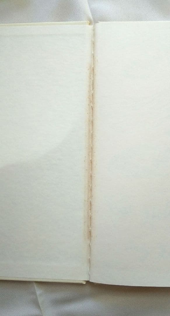 アンディー・ウォーホル 25 Cats / Holy Cats 2冊セット