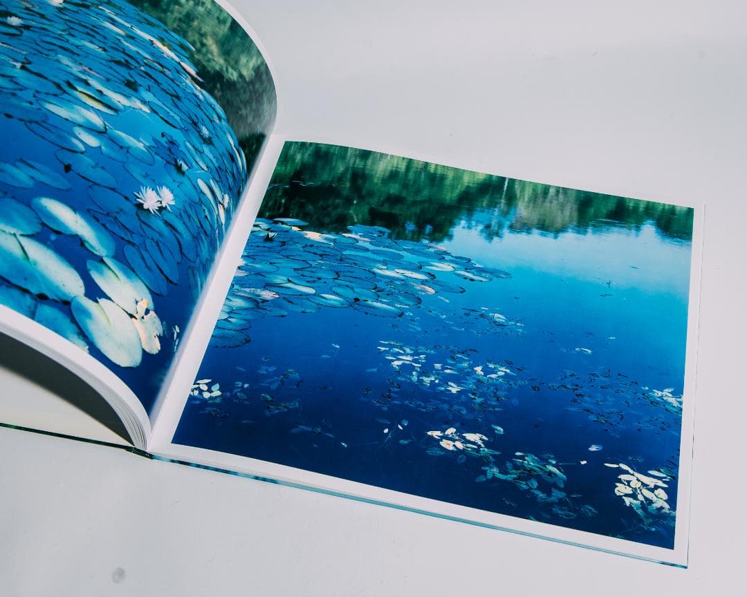 Water Mirror 鈴木理策 / Risaku Suzuki