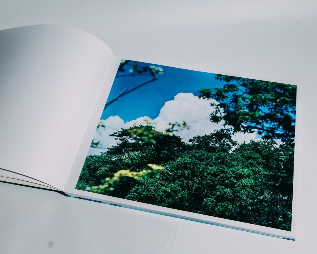 Water Mirror 鈴木理策 / Risaku Suzuki