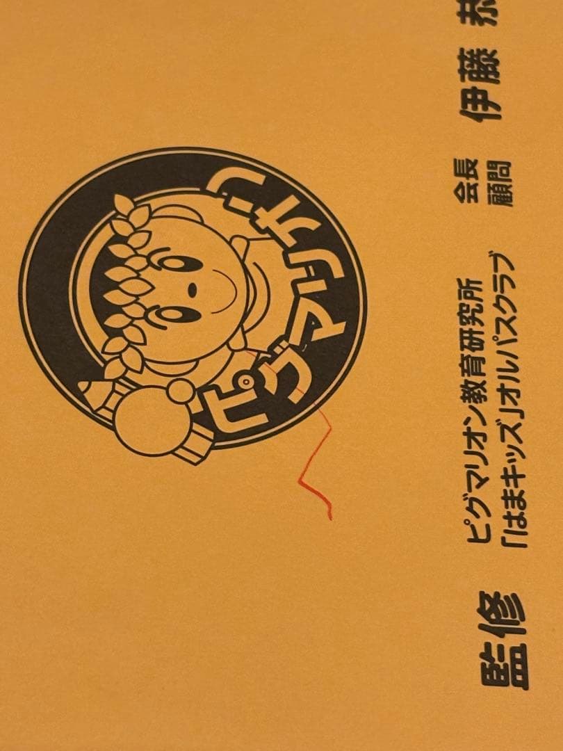 ピグマリオン PYGLI 能力育成問題集 19冊セット