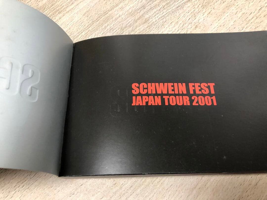 貴重SCHAFT & SCHWEINSTEINまとめ売りVHS CDツアーパンフ