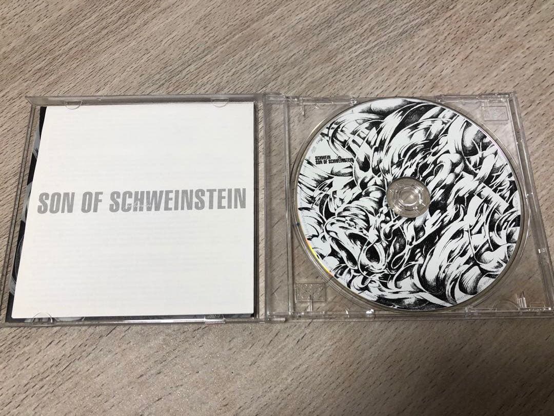 貴重SCHAFT & SCHWEINSTEINまとめ売りVHS CDツアーパンフ