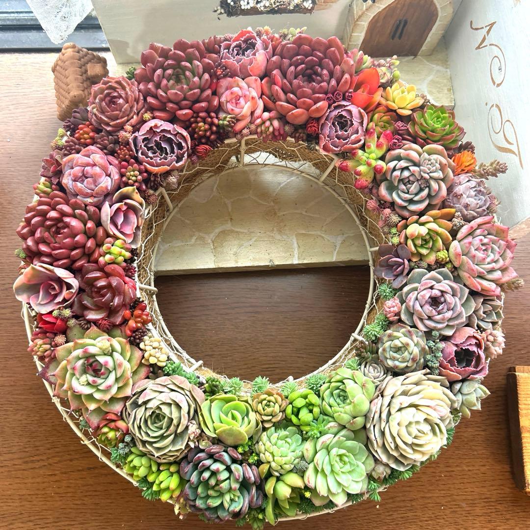 ❤️多肉植物そのまま飾れる❤️グラデーションリース❤️アイアンリース大きめ約35㎝