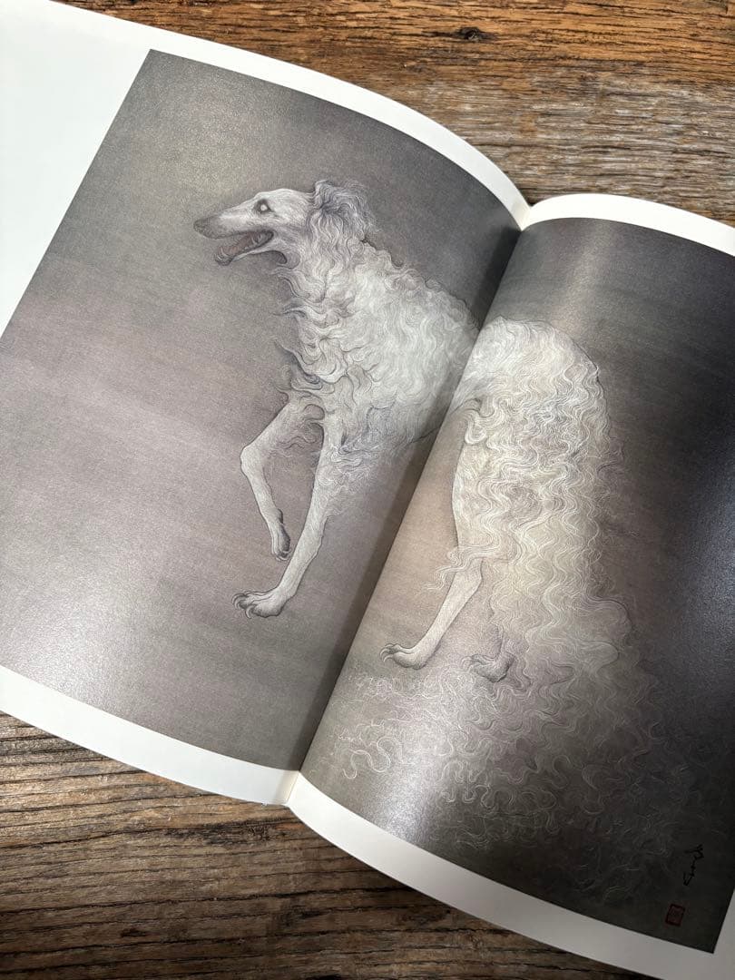 安値更新✨松井冬子 画集 世界中の子と友達になれる