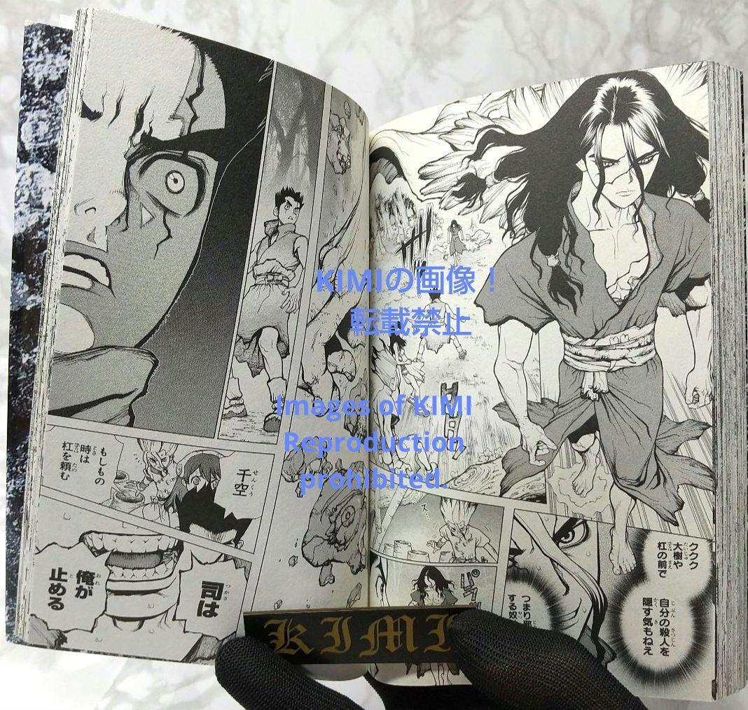 希少 初版 Dr.STONE 1 コミック 2017 Boichi,稲垣 理一郎