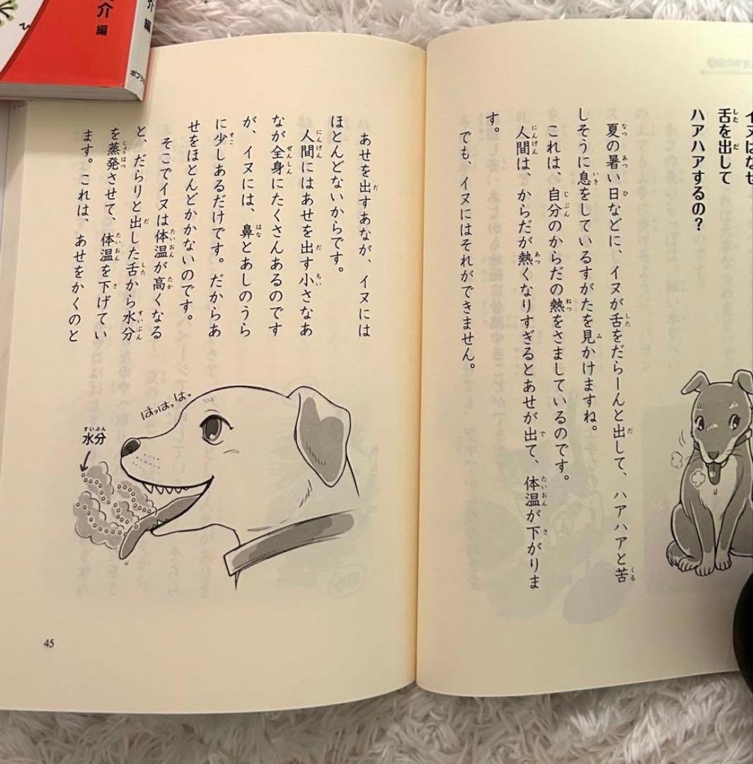 美品多数⭐︎児童書まとめ24冊⭐︎中学年向き⭐︎くもん推薦図書含む〜ミルキー名探偵