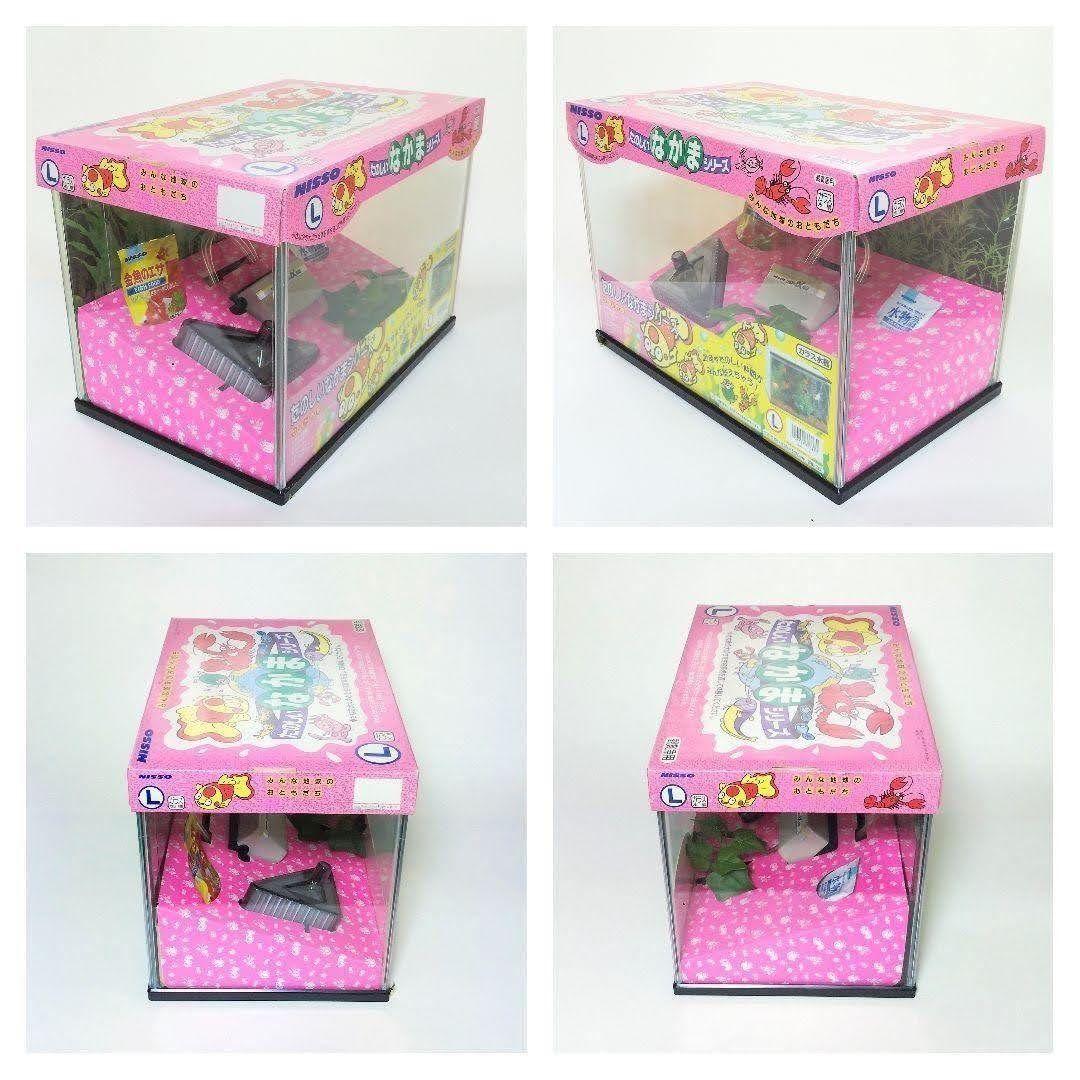 水槽セット 23L エアーポンプ フィルター 人口水草 餌 カルキ中和剤等計9点