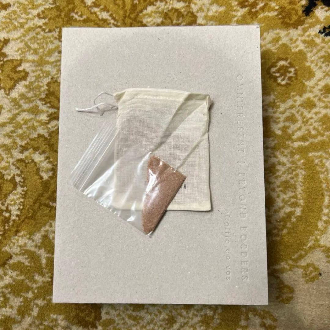 birgitta de vos アートブック　珍書