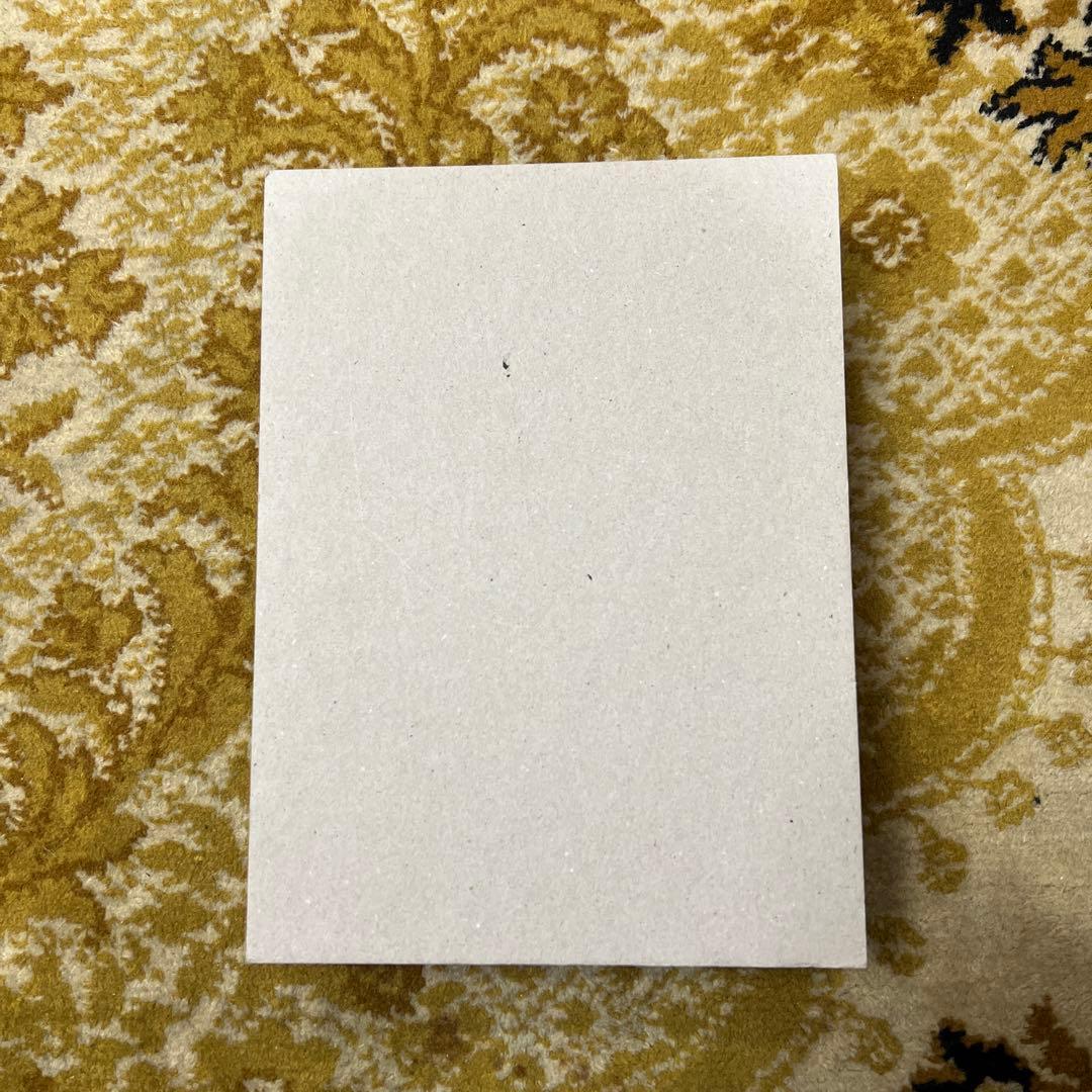 birgitta de vos アートブック　珍書