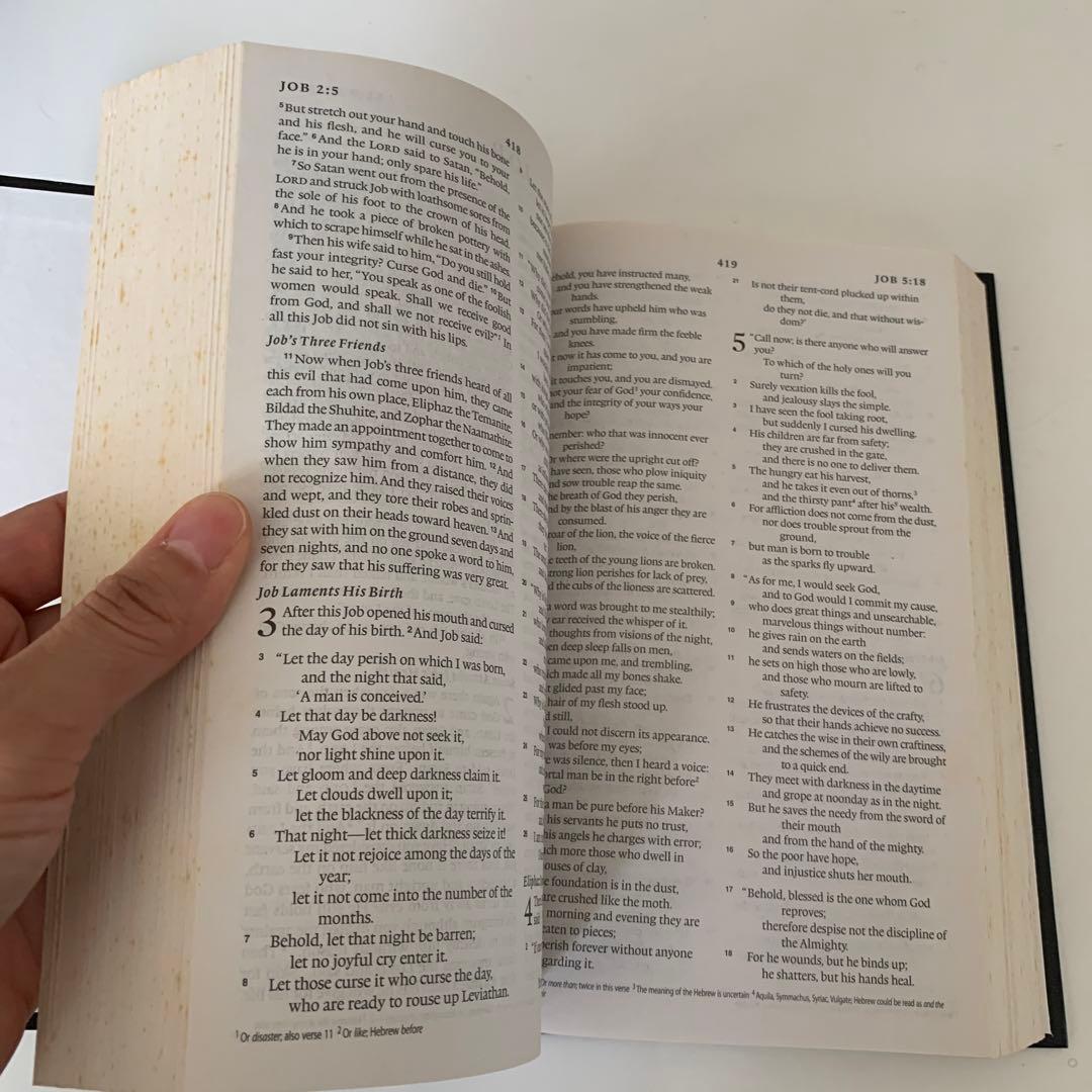 洋書 The HOLY BIBLE English standard version