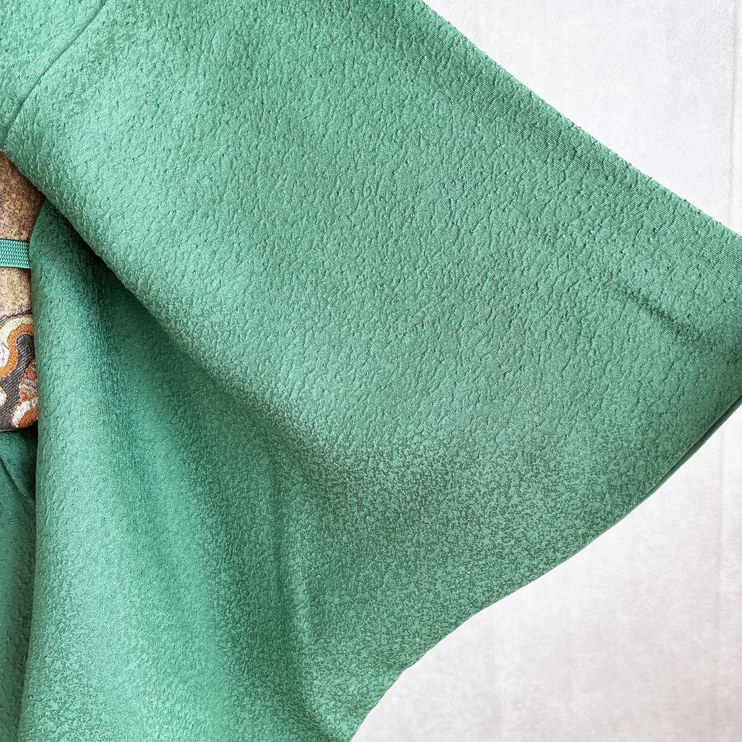 色無地　フルセット　着物　正絹　トールサイズ　緑　卒業式　入学式　N2