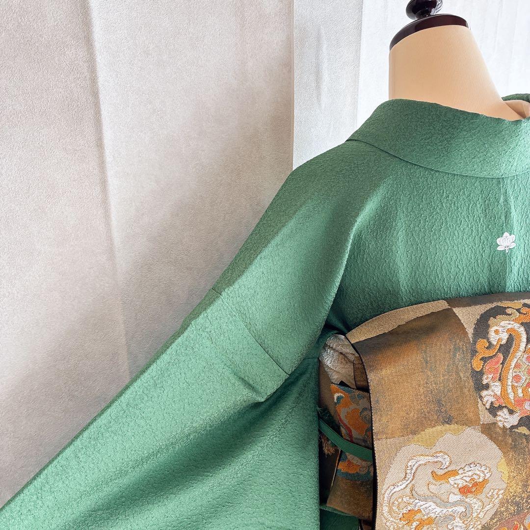 色無地　フルセット　着物　正絹　トールサイズ　緑　卒業式　入学式　N2